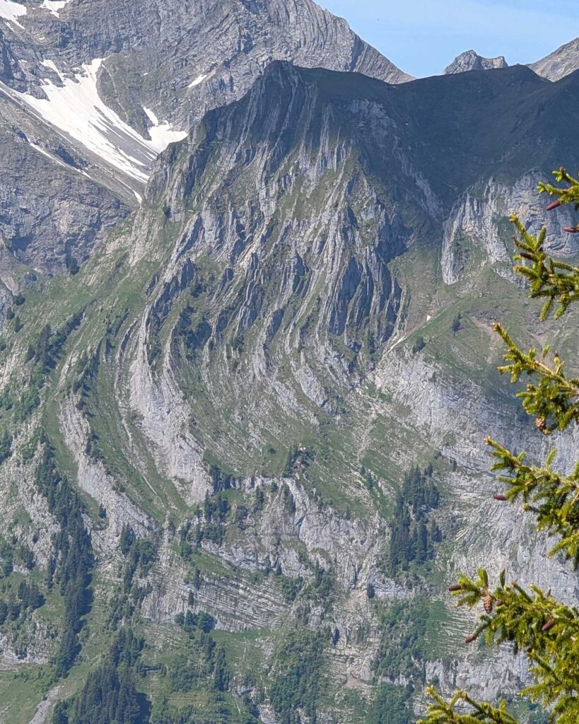 Die Faltungen am Scheideggstock Engelberg