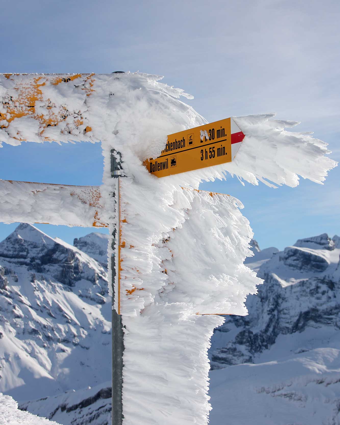 Winterliche Freeride-Landschaft am Titlis bei Engelberg