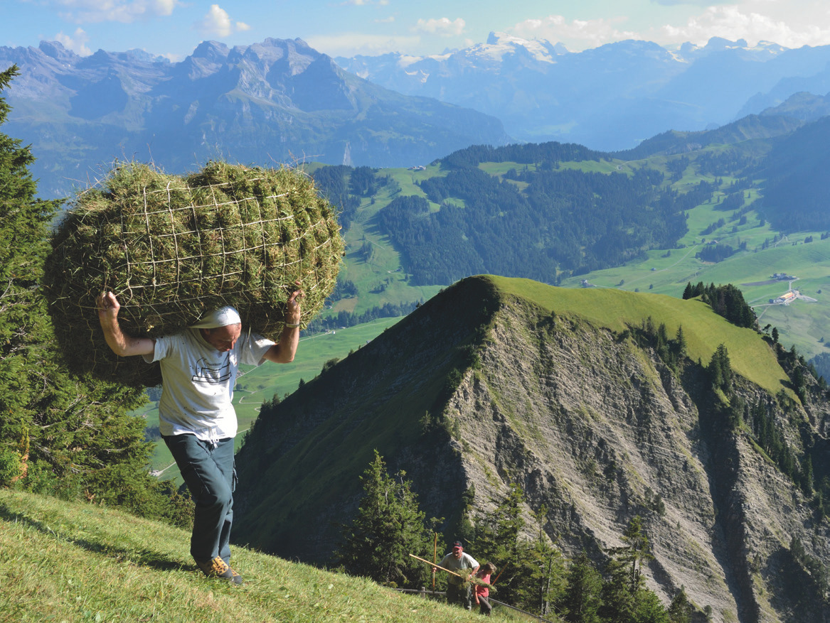 Stanserhorn ab Wiesenberg im Gebiet Stanserhorn und Wirzweli